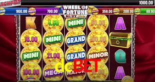 dcbet